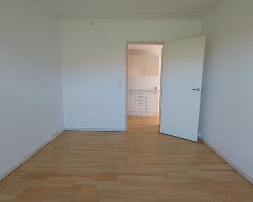 Stor studiebolig nær AAU Campus i Øst