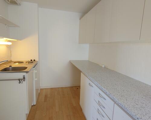 Stor studiebolig nær AAU Campus i Øst