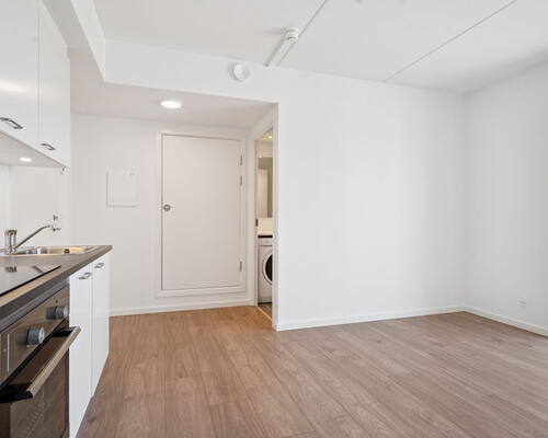 1 værelses lejlighed i Tilst