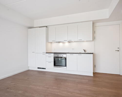 1 værelses lejlighed i Tilst