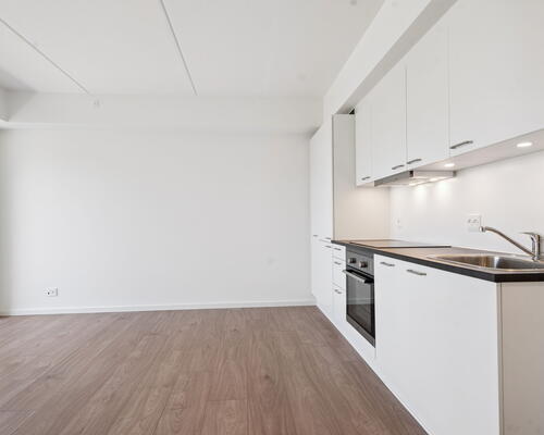 1 værelses lejlighed i Tilst