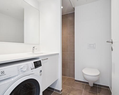 1 værelses lejlighed i Tilst