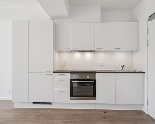 1 værelses lejlighed i Tilst