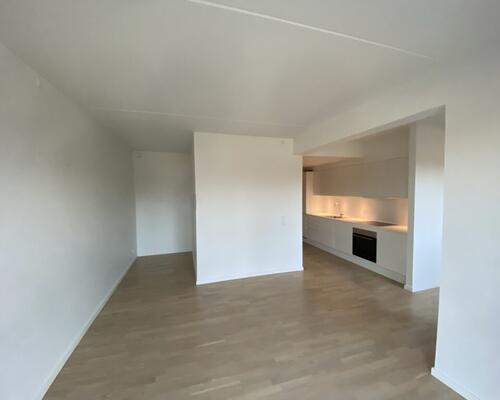 3 værelses lejlighed i Århus C