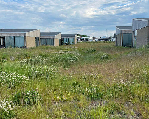 3 værelses hus i Blokhus