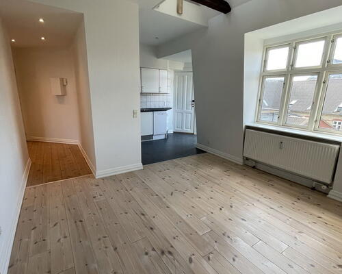 Charmerende 3-værelses i Aalborg Centrum med sydvendt altan, hems og bykig