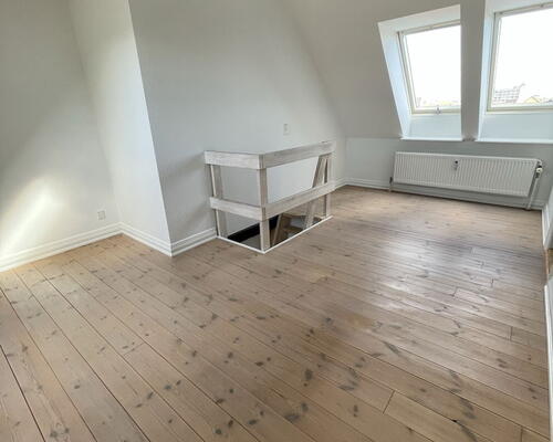 Charmerende 3-værelses i Aalborg Centrum med sydvendt altan, hems og bykig