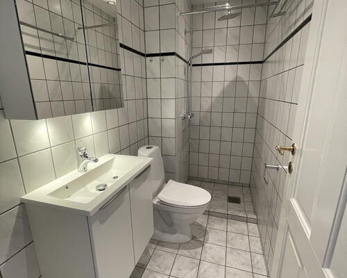 Charmerende 3-værelses i Aalborg Centrum med sydvendt altan, hems og bykig