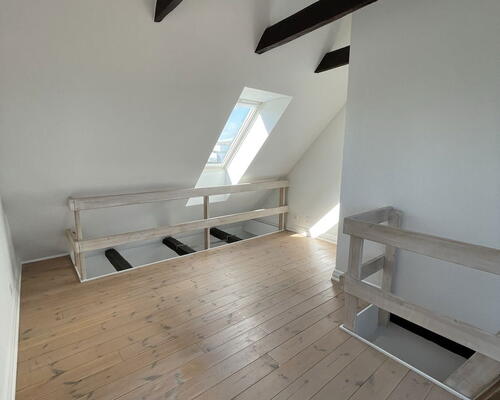 Charmerende 3-værelses i Aalborg Centrum med sydvendt altan, hems og bykig