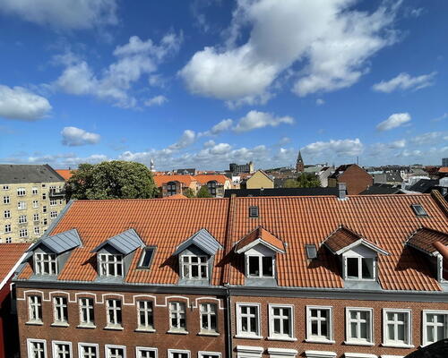 Charmerende 3-værelses i Aalborg Centrum med sydvendt altan, hems og bykig