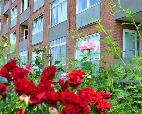 4 værelses hus i Skive