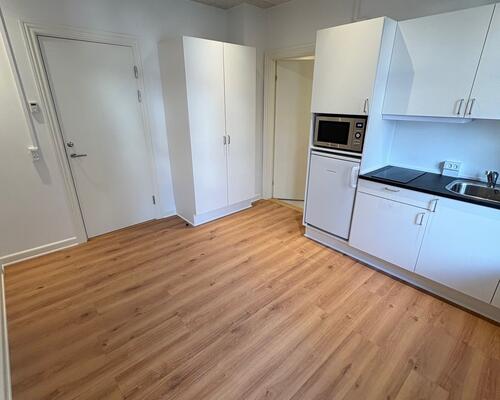 Nyrenoveret 1. værelses pendlerlejlighed