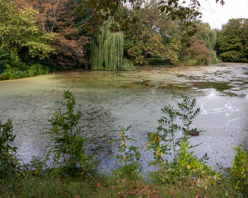 5 værelses lejlighed i København K