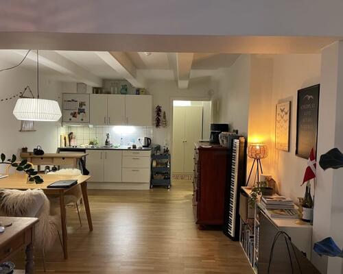 Hyggelig studielejlighed i hjertet af Frederiksberg