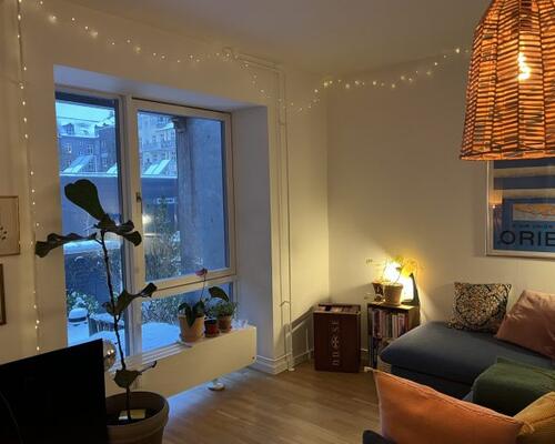 Hyggelig studielejlighed i hjertet af Frederiksberg
