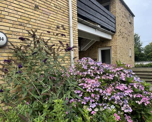 3 værelses hus i Skive