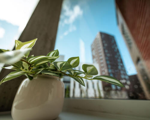 2 værelses lejlighed i Odense C