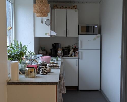 God 2. værelses med nyt køkken