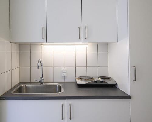 Studiebolig i Aalborg Øst med mulighed for husdyr