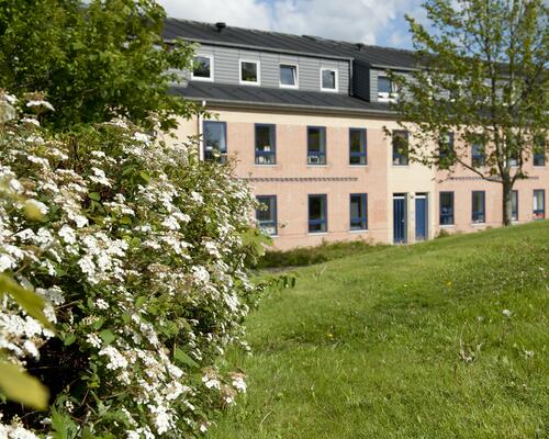 Studiebolig i Aalborg Øst med mulighed for husdyr