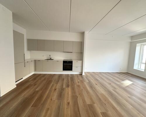 Moderne 3-værelses lejlighed med altan og udsigt