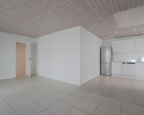 Hyggeligt byhus i Nørresundby - husdyr tilladt