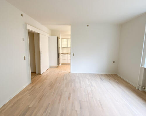 Rummelig 2-værelses lejlighed i Nørresundby