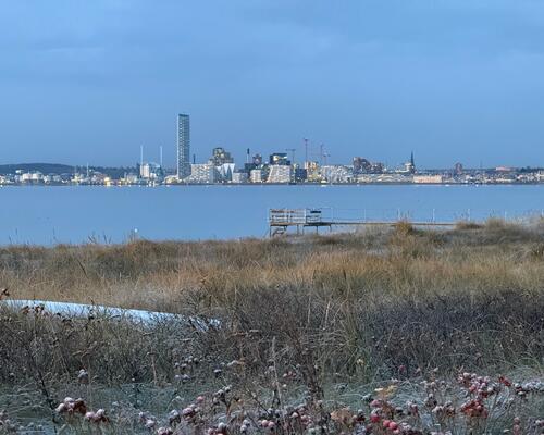 6 værelses hus i Risskov