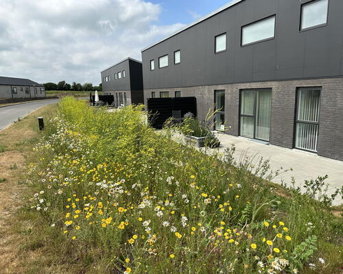 4 værelses hus i Ringe