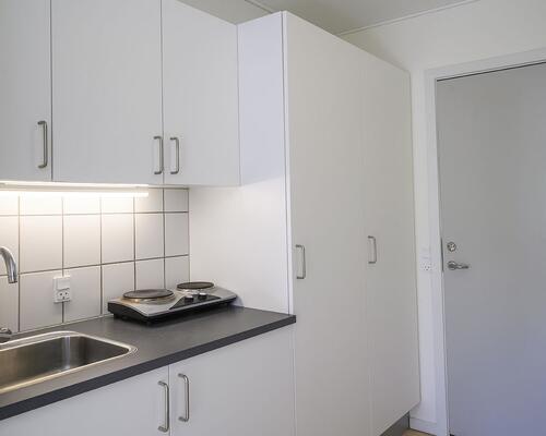 Studiebolig i Aalborg Øst med mulighed for husdyr