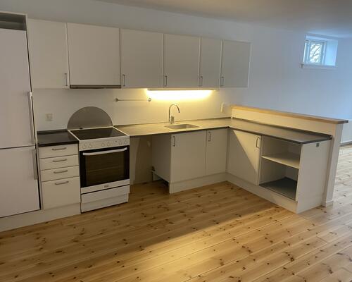 Nu udlejes en rummelig og charmerende 2-værelses + Stor tør kælder