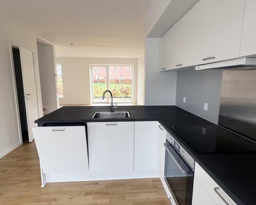 3 værelses hus i Odense C