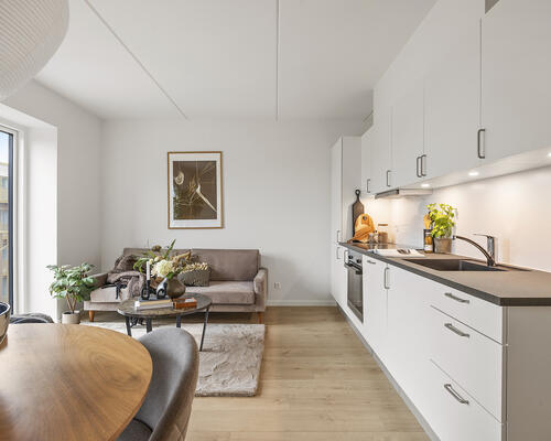 Falkely – nye moderne boliger i Ishøj