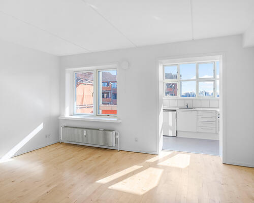 Stor 1-værelses lejlighed på 49 m²