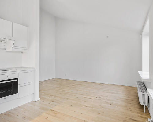 Stor 1-værelses lejlighed på 59 m² med hems.