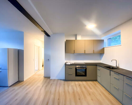 5 værelses lejlighed i Hørsholm