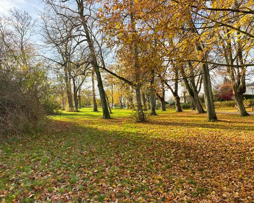 5 værelses lejlighed i Hørsholm