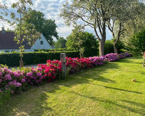 5 værelses hus i Farum