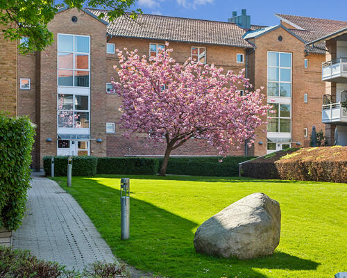 3 værelses lejlighed i Farum