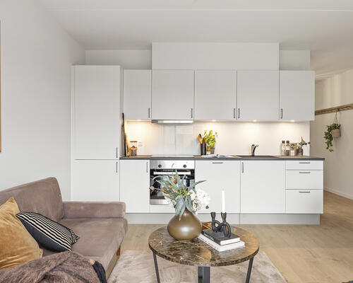 Falkely – nye moderne boliger i Ishøj