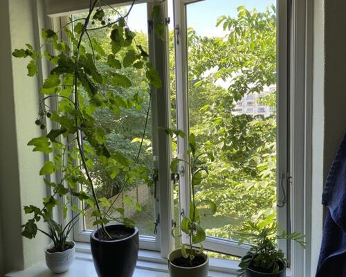 Stor delevenlig lejlighed i 2 plan, adgang til stor have og gratis parkering – 114 Kvm