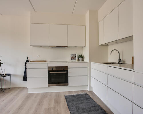 2 værelses lejlighed i Aalborg SV