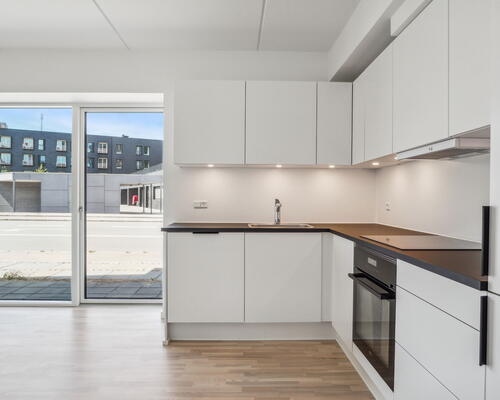 Egedal stationsby -  2 vær. lejebolig med altan med fin udsigt og godt lysindfald