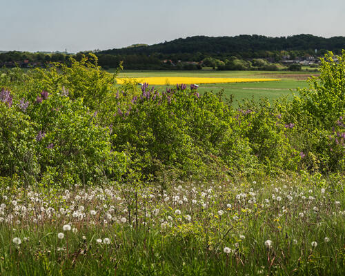 5 værelses rækkehus på 135 m²