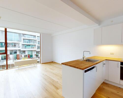 2 værelses lejlighed i København S