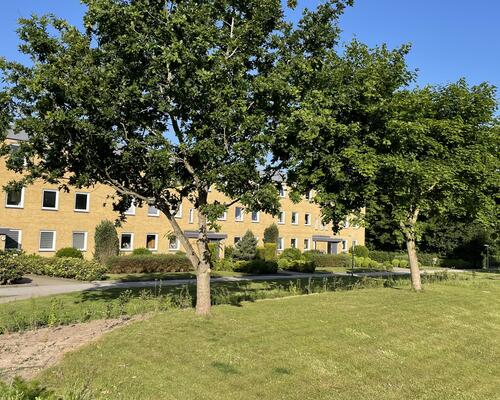 2 værelses lejlighed i Viborg