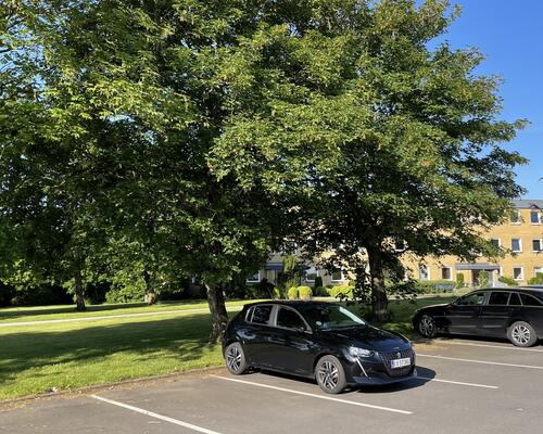 2 værelses lejlighed i Viborg