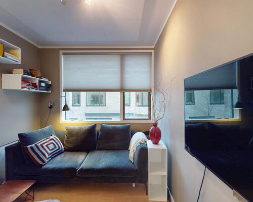 3 værelses hus i København S