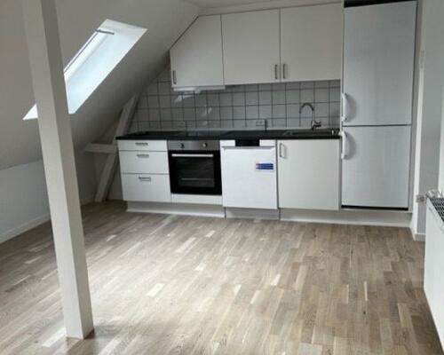 Nyere renoveret 3. værelses lejlighed