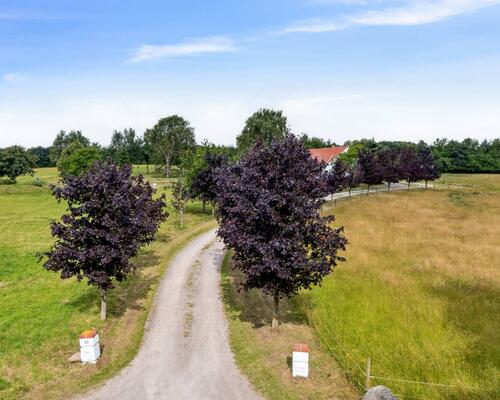 8 værelses hus i Helsinge
